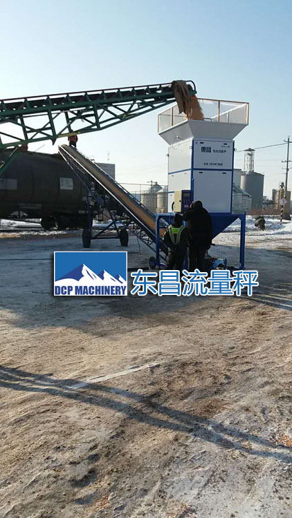 吉林糧食流量秤DCS-L100，50